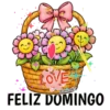 VARIOS DÍAS 7