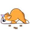 Meowy mov 8