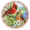 PAJAROS 🦜🦉 26