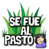 👉Variado 2134👈 mov 17