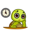 Tortu mov 14