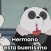 Escandalosos🐻🐼🐻‍❄️ 24