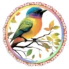 PAJAROS 🦜🦉 29