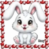 Animalitos Tiernos ✺8🇻🇪Mov 19