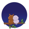 Birds mov 7