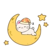 Silly Kitties✨🐱.mov 18