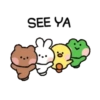 CONY LOVE 11