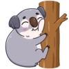 Full koala mov 8