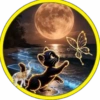Luna🌙💞2🇵🇪Movi 29