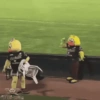 Mascotas Pollo y Pia Algodoneros Unión Laguna⚾֍1🇲🇽Movi 24