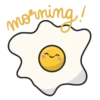morning!