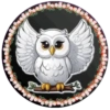 PAJAROS 🦜🦉 25