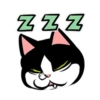 Tomi 2 mov 19