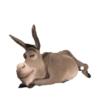 Shrek Random🟢2🇲🇽Movi 16