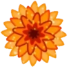 FLORES 🌹🌻💐 5