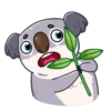 Full koala mov 5