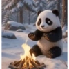 Pandas 2 🧸🇲🇽 20