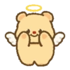 Butter bear 💛🤎.mov 21