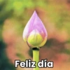 ✮⋆˙Viral tendencia 😎  8    ♱ 21