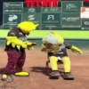 Mascotas Pollo y Pia Algodoneros Unión Laguna⚾֍1🇲🇽Movi 15