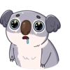 Full koala mov 25