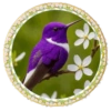 PAJAROS 🦜🦉 5