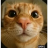 Animal Fish Eye 🐼🐶🐱 10
