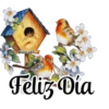VARIOS DÍAS 15