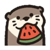 Nutria Marrón 🤎✨🌈.mov 11 🍉