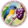 PAJAROS 🦜🦉 6