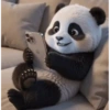 Pandas 2 🧸🇲🇽 16