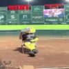 Mascotas Pollo y Pia Algodoneros Unión Laguna⚾֍1🇲🇽Movi 12