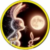 Luna🌙💞2🇵🇪Movi 28
