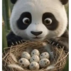 Pandas 2 🧸🇲🇽 30