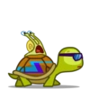 Tortu mov 21