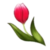 FLORES 🌹🌻💐 10