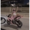 Moto Pinky 🧸🇲🇽 7