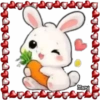 Animalitos Tiernos ✺8🇻🇪Mov 17
