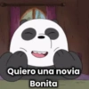 Escandalosos🐻🐼🐻‍❄️ 15