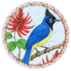 PAJAROS 🦜🦉 11