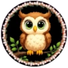 PAJAROS 🦜🦉 18