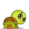 Tortu mov 9