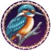 PAJAROS 🦜🦉 28
