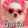 Tiernos para contestar 🐇🐣🐱 24