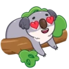 Full koala mov 12