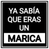 !Pelea! !Pelea! 13