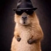 Animales 5 27
