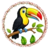 PAJAROS 🦜🦉 27