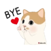 BYE