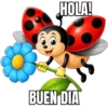 INSECTOS 🦋🐝🌺 7